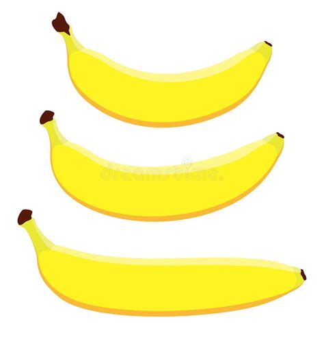 Vector Bananas Of Different Shapes Three Simple Ripe Yellow Bananas