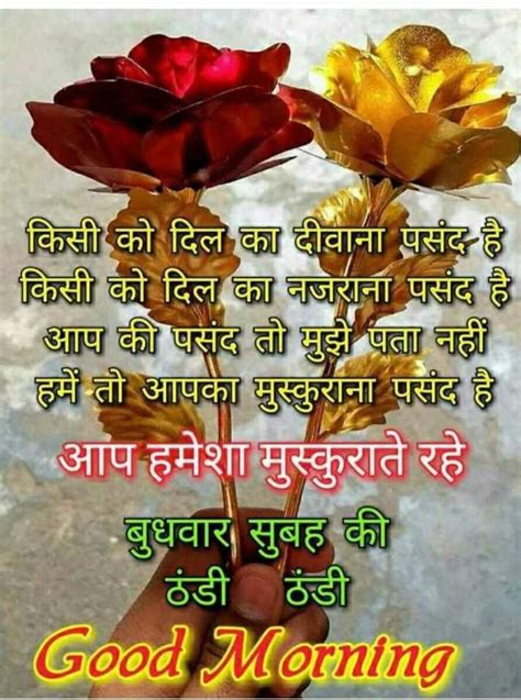 Good morning flowers gif good morning sunday images good morning beautiful pictures cute good download top good morning pics photo in hindi , status , good morning thoughts, hindi morning. Pin by Sashina Devi on Good morning...afternoon..evening...night posts | Good morning quotes ...