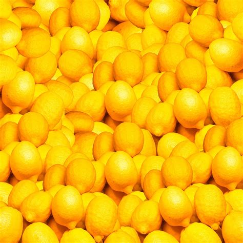 The term mellow yellow stands for laid and relaxation. lemons - yellow lemons | Yellow foods, Yellow color ...