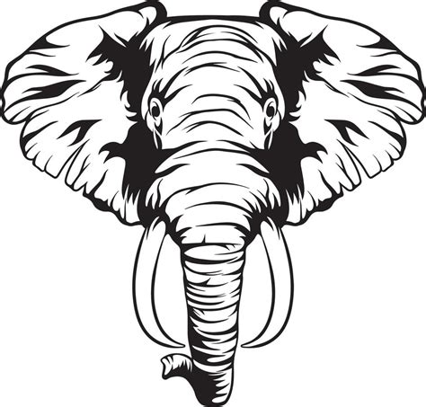 Elephant Svg Elephant Cut File Elephant Vector Elephant Silhouette