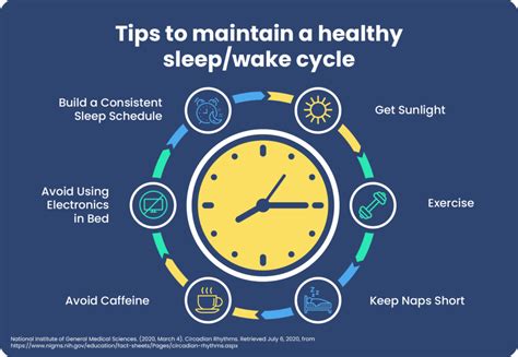 what is circadian rhythm sleep foundation
