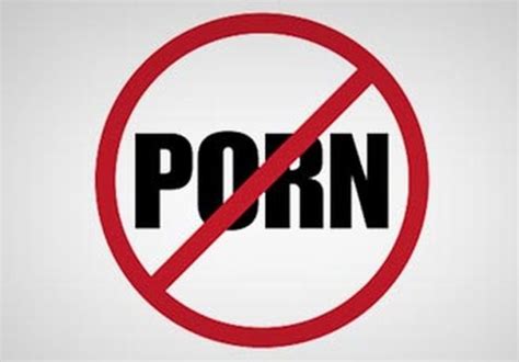 Ban On Porn Sites Legitimate Content And Limitations On Social Media Indian Govt Himachal