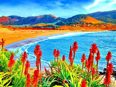 Flowers In Coastal Paradise Splendor Paradise Sky Clouds Sea