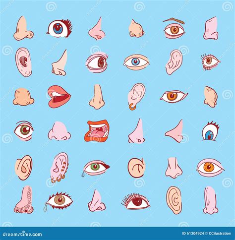 Nose Collection Character Of Face Parts Vector Illustration CartoonDealer Com