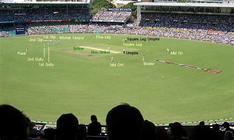 Dms Explanation Of Cricket Fielding Positions
