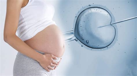 Fertility Treatment A Step By Step Look At The Ivf Process