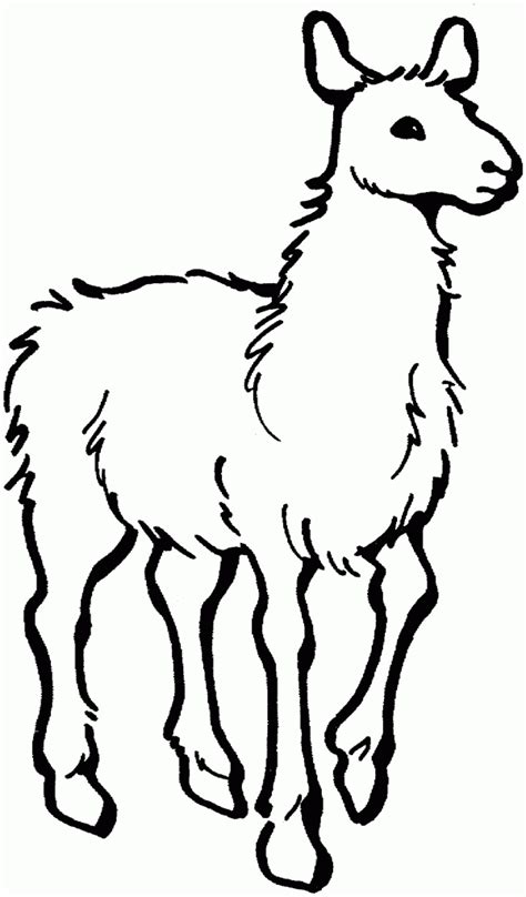 Animal Coloring Pages For Kids Llama