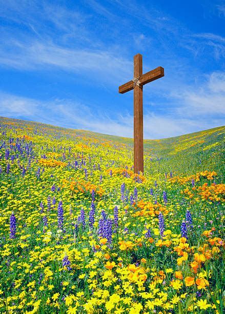 Crosses With Flowers Stock Photos Pictures And Royalty Free Images Istock