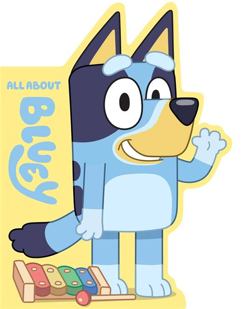 Kids Book Review Review Bluey All About Bluey All About Bingo
