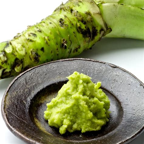 A paste made from its ground rhizomes is used as a pungent condiment. Wasabi Paste - Fish Shack