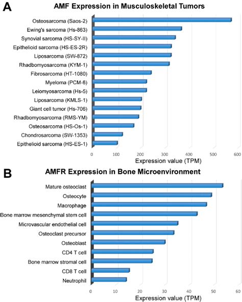 A Expression Of Amf In A Variety Of Musculoskeletal Tumors B