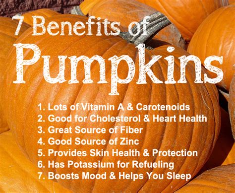 The Nutritional Power Of Pumpkins Not Just A Festive Decoration They