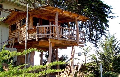 In A Treehouse 50 Places To Have Sex Before You Die Complex