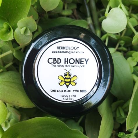 Cbd Honey Pot Herbology South Africa