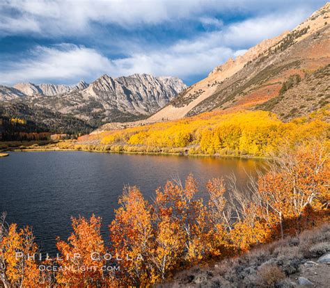 Paiute Peak And North Lake In Fall Populus Tremuloides Bishop Creek