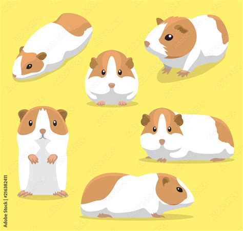 Cute Guinea Pig Poses Cartoon Vector Illustration Stock Vector Adobe