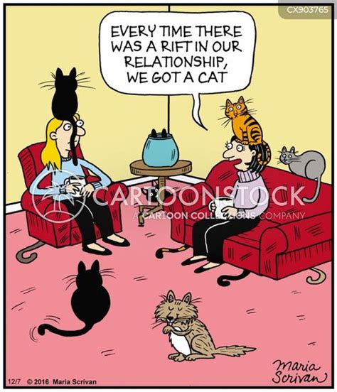 Crazy Cat Comic
