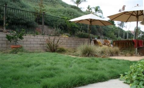 Sustainable Alternatives To Grass Lawns The Sustainable Alternative