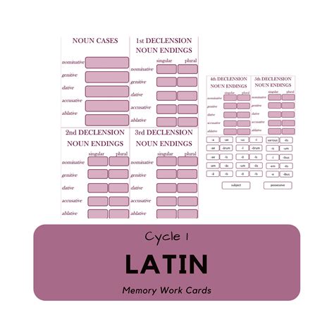 latin noun declension memory work cards 1 etsy