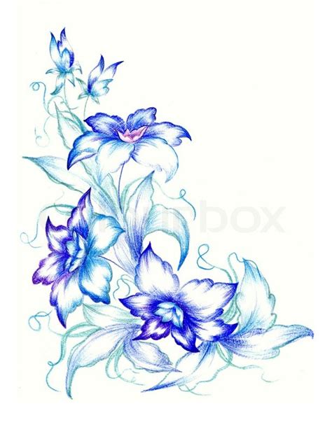 Blue Flowers On White Background Stock Photo Colourbox