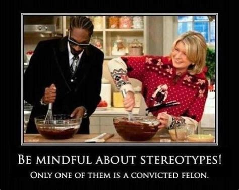 Snoop Dogg And Martha Stewart Only One Of These Is A Convicted Felon