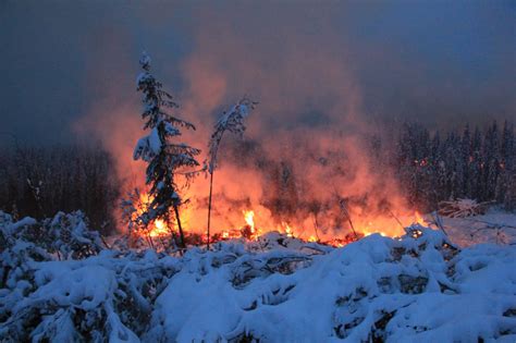 What Is A Zombie Wildfire And How Is It Burning In The Arctic