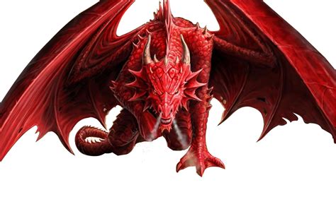 Free Png Dragon Images Dragon Fire Fantasy Dragon Pictures Free