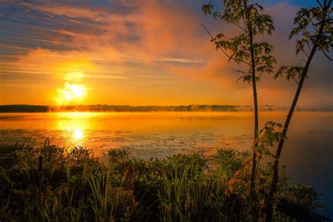Summer Lake Morning Fog Sun Sunrise Hd Wallpaper
