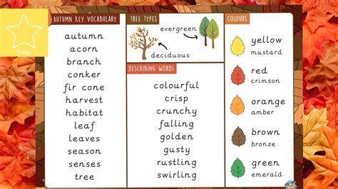 Teachers Pet Autumn Vocabulary Word Mat