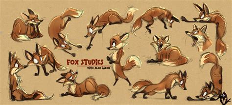Artstation Fox Studies Vipin Jacob Fox Character Cartoon Fox