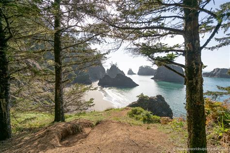 How To Get To Secret Beach Oregon 2023 The Whole World Is A Playground