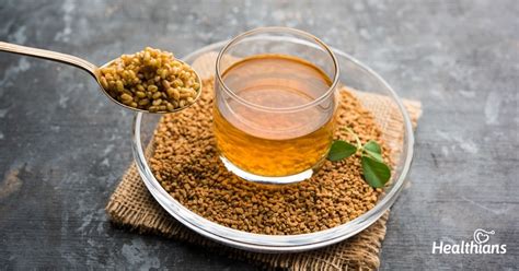 Ayurvedic Herbs That Help Manage Diabetes Healthians Blog