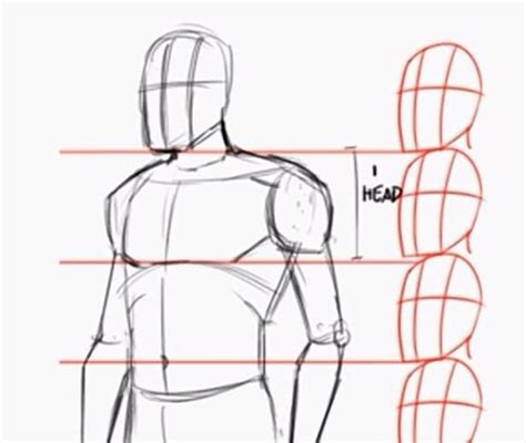 Very simple when you know the steps.buy action male drawing book at. How to draw the human body step by step. How to draw a ...