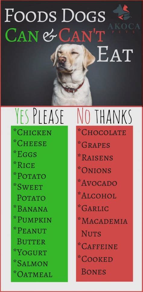 A list of human foods dogs can and can't eat. Human Foods Your Dog Can (And Can't) Eat | Foods dogs can ...