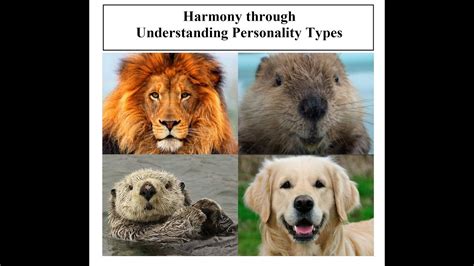 Harmony Through Understanding Personality Types Youtube