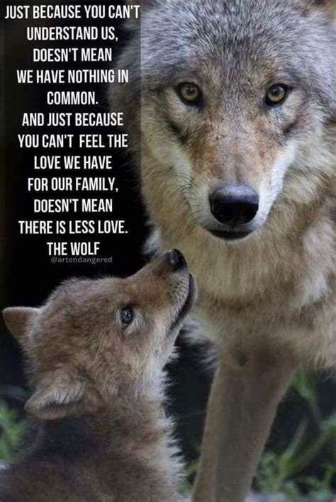 Pin By Nuba Kotze On Wolf Sayings And Wolf Wisdom En Wolves Quotes