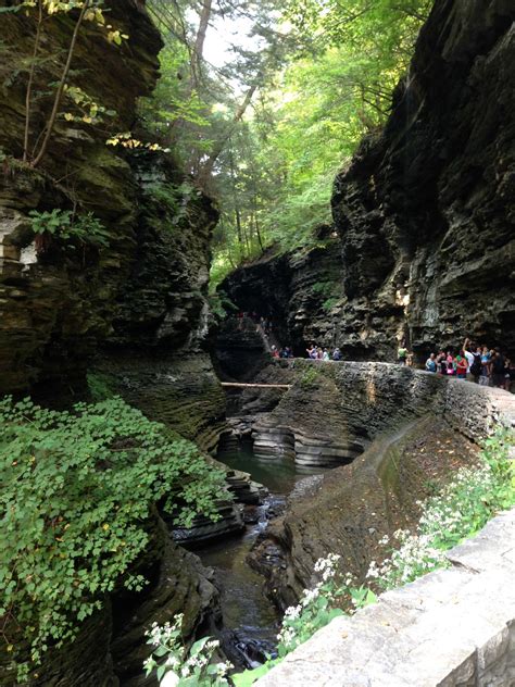 Watkins glen state park cabins. the hawkins family: Camping in Watkins Glen State Park