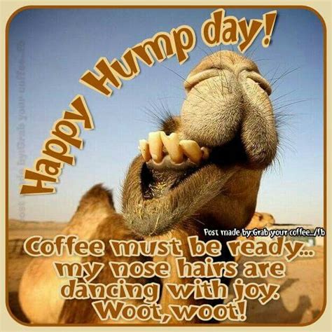Happy Hump Day Happy Wednesday Quotes Hump Day Humor Wednesday Humor