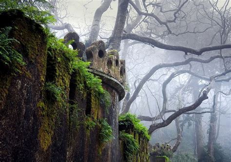 Remains Of An Abandoned Castle In A Foggy Forest So Intriguing So
