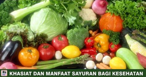manfaat sayur bagi kesehatan supplier sayur