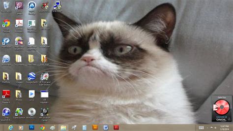 37 Grumpy Cat Meme Wallpaper
