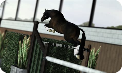 Sims 3 Horses Jumping Re Northgate Warmbloodss Free Jumping Show