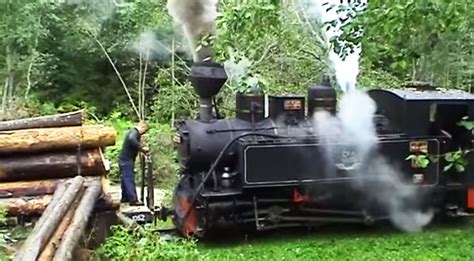 Classic Steam Locomotive Logging In Romania Train Fanatics