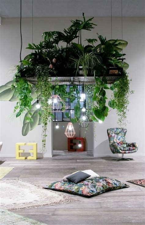 Le piante da interno danno vita e colore al tuo salotto, creando una atmosfera di intimità in ogni casa essi siano presenti. Arredare con le piante, 4 soluzioni efficaci | Arredamento ...