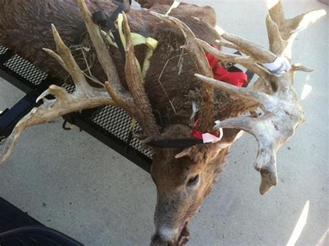 Could This Be The New Astounding World Record Non Typical Whitetail Buck