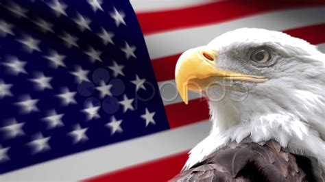 American Eagle Flag Stock Footage Youtube