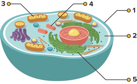 Perhatikan gambar di bawah ini! Berdasarkan
