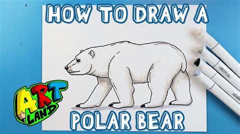How To Draw A Polar Bear Youtube