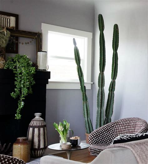 Cactus Home Decor Home Interior Design