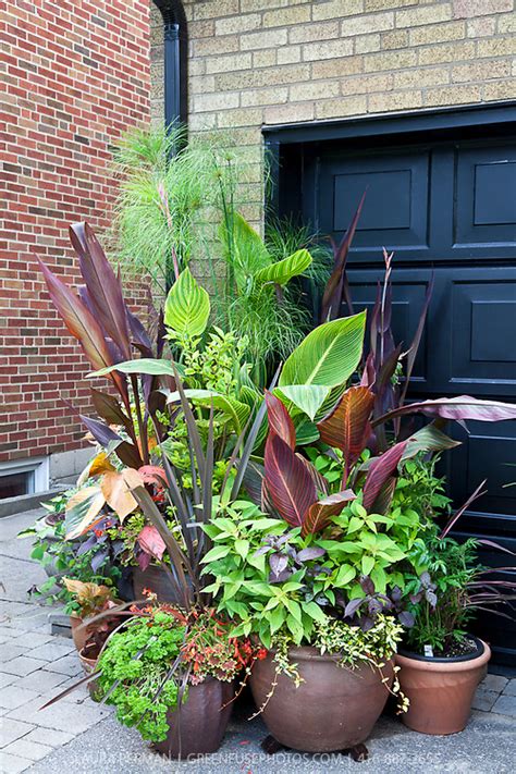Urban Front Yard Container Garden Greenfuse Photos